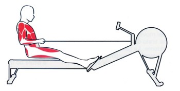 L'ergomètre permet de pratiquer l'aviron en salle.